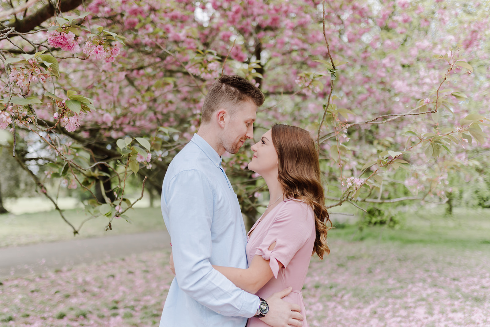 London Greenwich park pink cherry blossom engagement couples shoot London Greenwich park pink cherry blossom engagement couples shoot