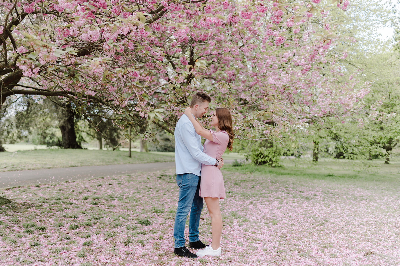 London Greenwich park pink cherry blossom engagement couples shoot London Greenwich park pink cherry blossom engagement couples shoot