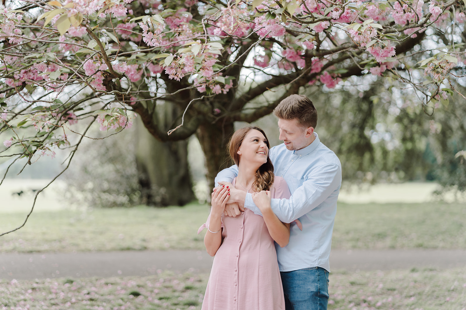 London Greenwich park pink cherry blossom engagement couples shoot London Greenwich park pink cherry blossom engagement couples shoot