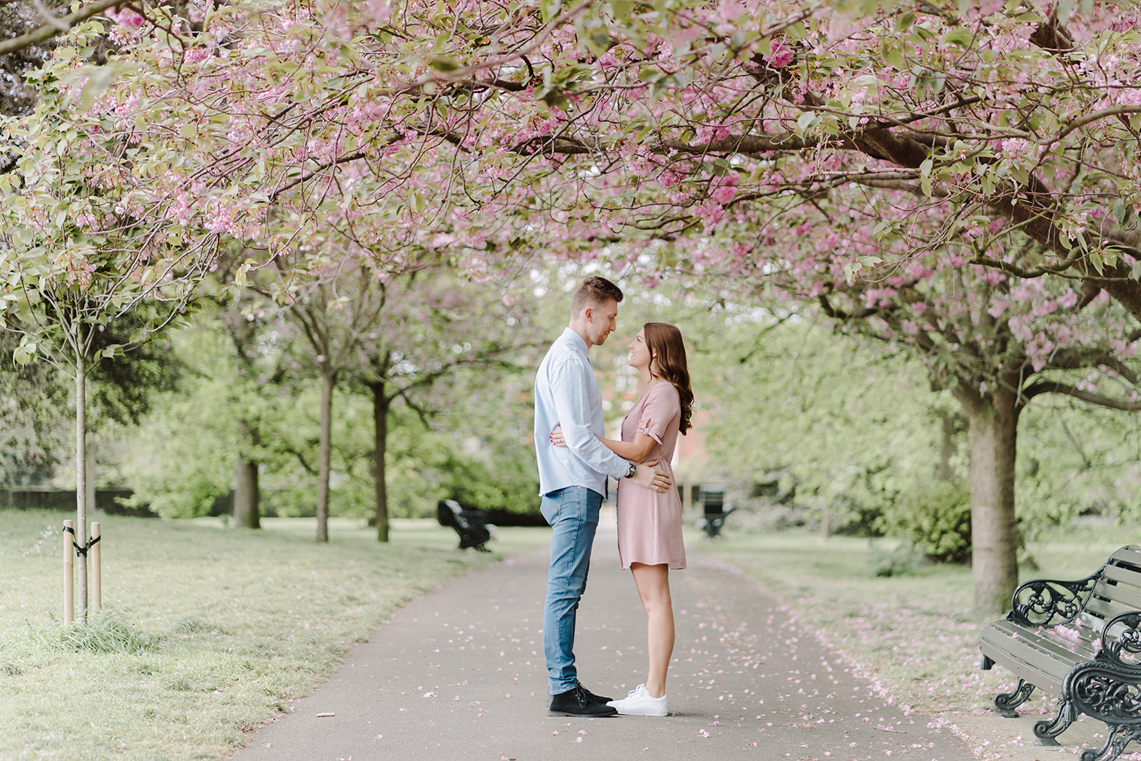 London Greenwich park pink cherry blossom engagement couples shoot London Greenwich park pink cherry blossom engagement couples shoot