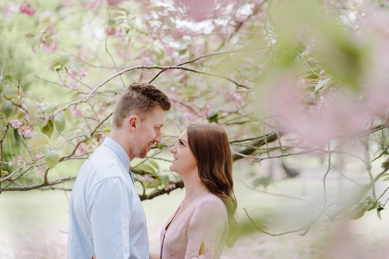 London Greenwich park pink cherry blossom engagement couples shoot London Greenwich park pink cherry blossom engagement couples shoot