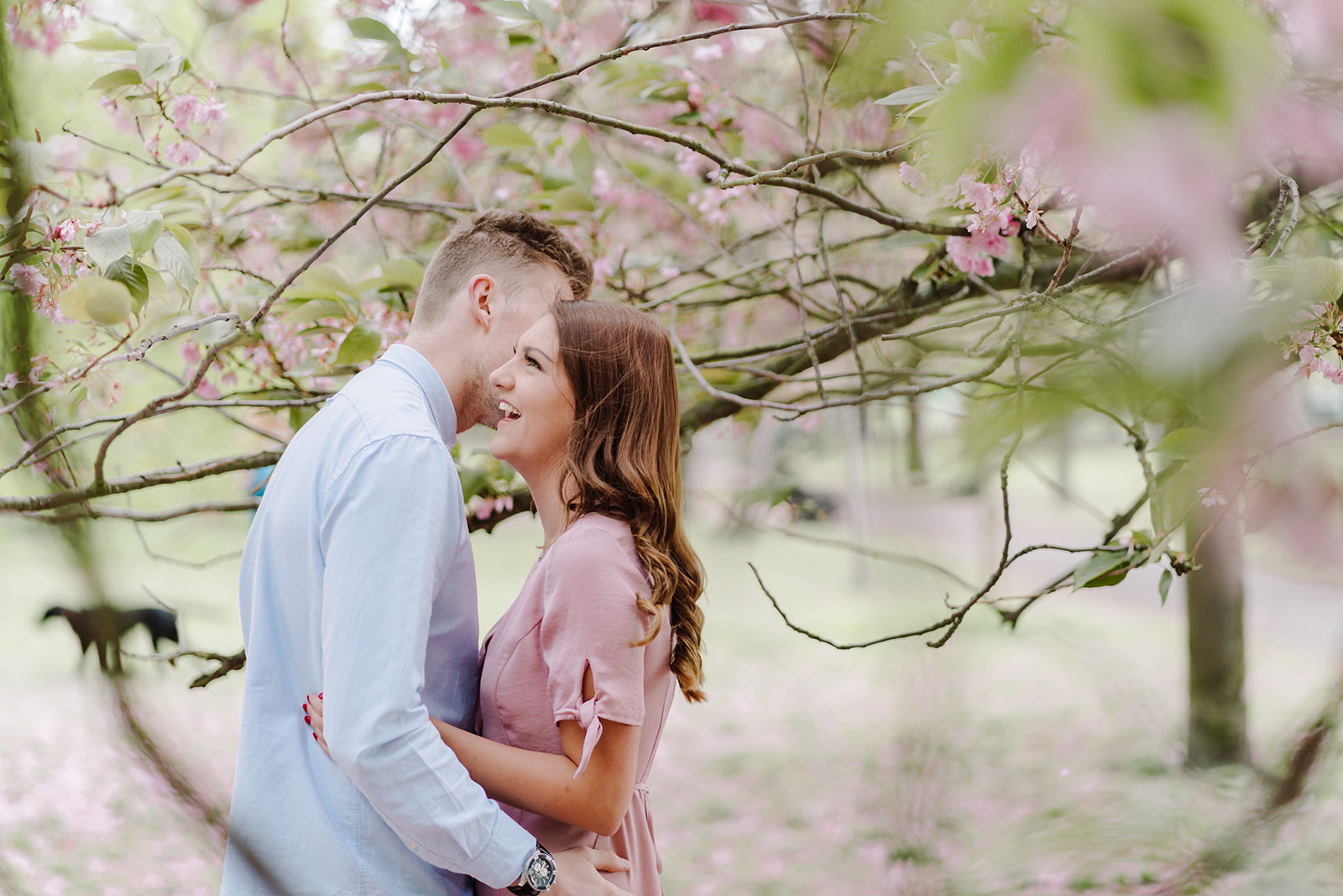 London Greenwich park pink cherry blossom engagement couples shoot London Greenwich park pink cherry blossom engagement couples shoot
