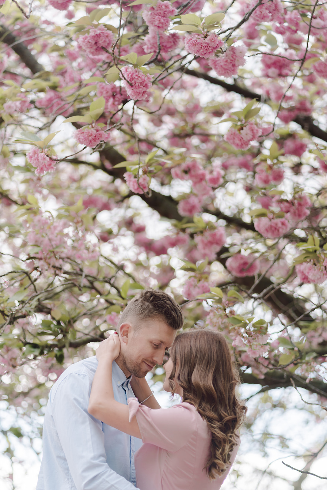 London Greenwich park pink cherry blossom engagement couples shoot London Greenwich park pink cherry blossom engagement couples shoot