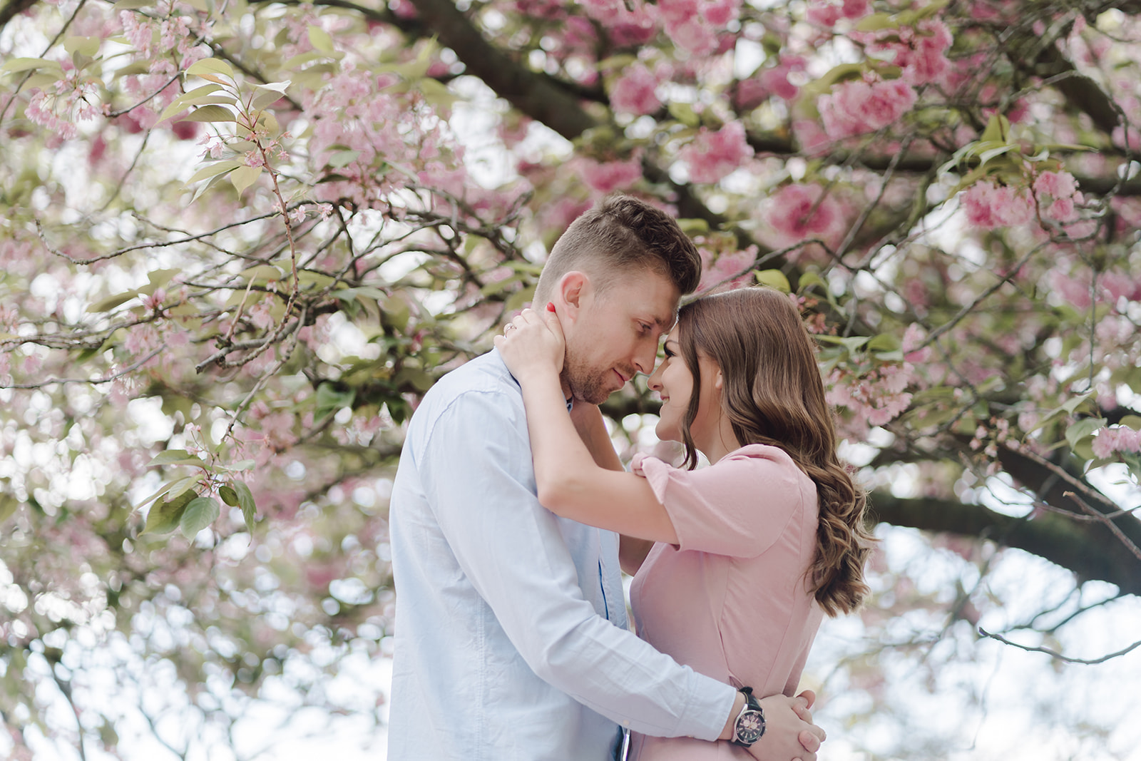 London Greenwich park pink cherry blossom engagement couples shoot London Greenwich park pink cherry blossom engagement couples shoot