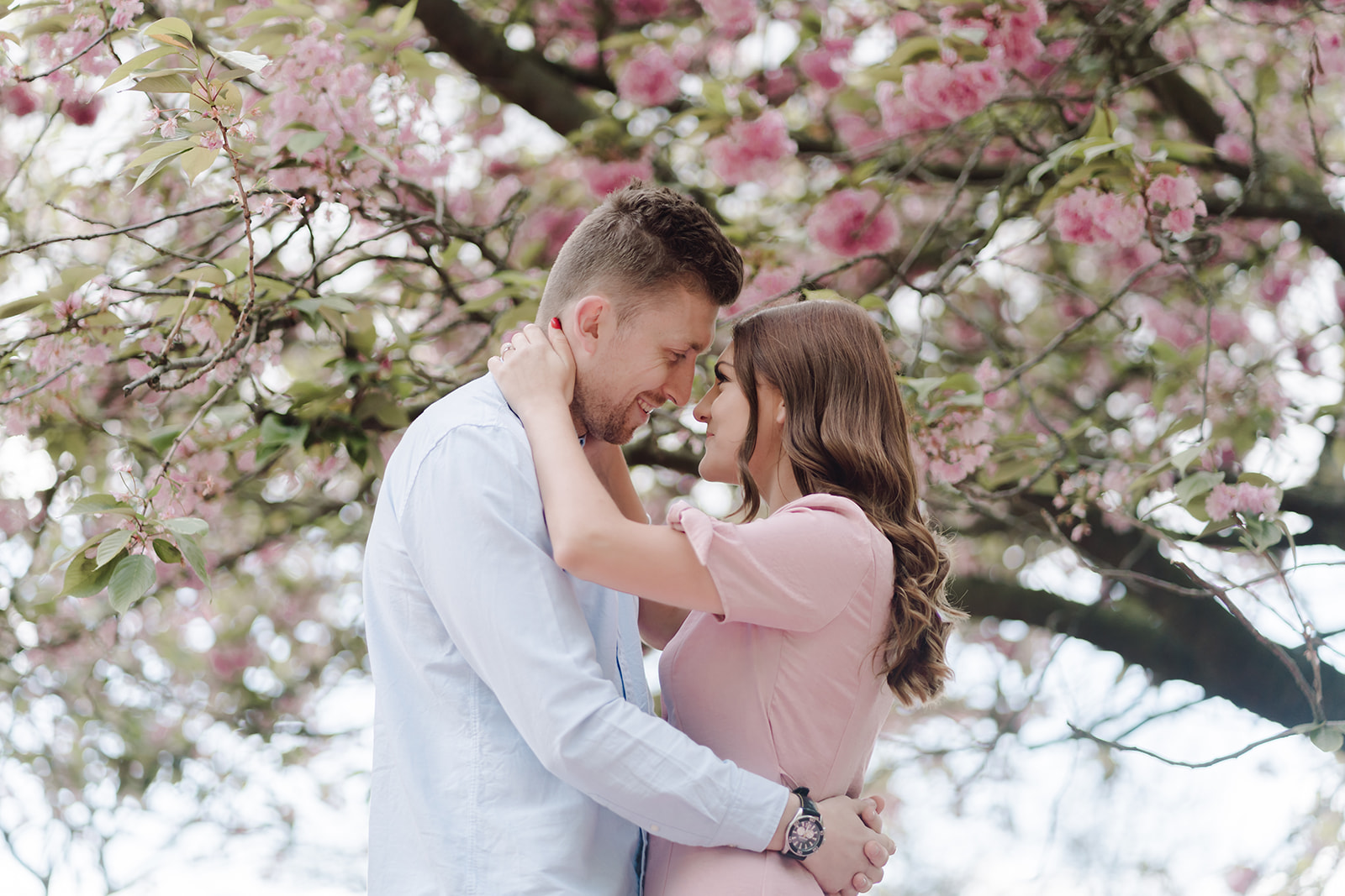 London Greenwich park pink cherry blossom engagement couples shoot London Greenwich park pink cherry blossom engagement couples shoot
