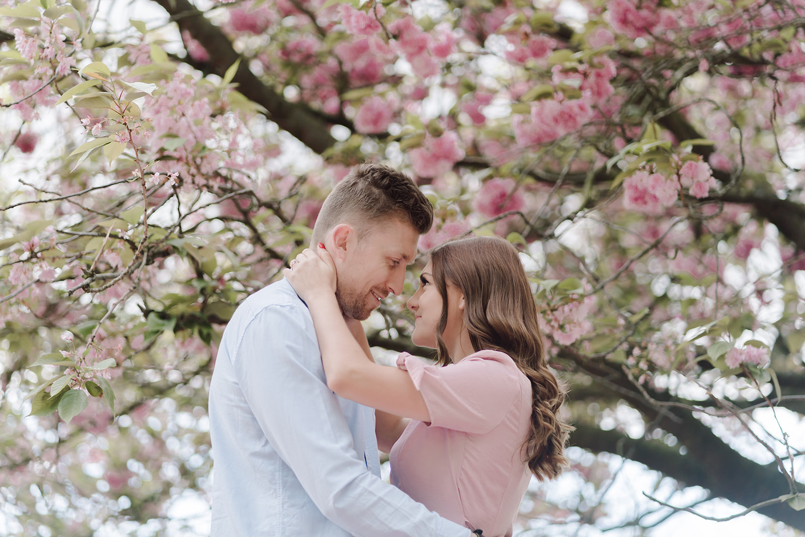 London Greenwich park pink cherry blossom engagement couples shoot London Greenwich park pink cherry blossom engagement couples shoot
