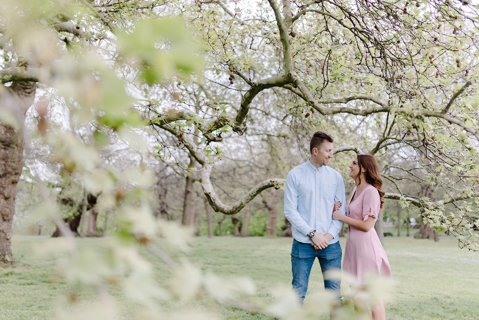 London Greenwich park pink cherry blossom engagement couples shoot London Greenwich park pink cherry blossom engagement couples shoot