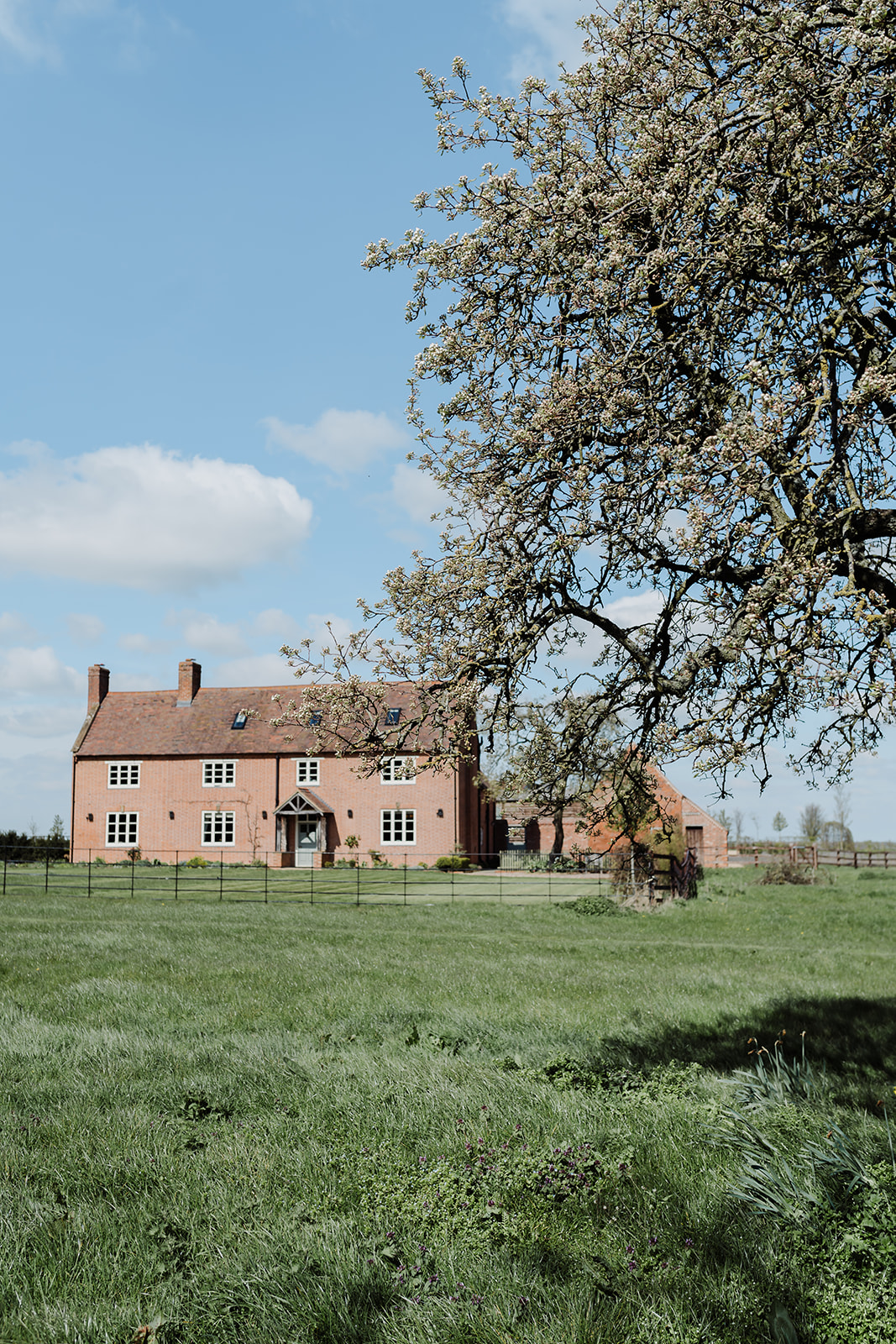 Green Minimal Spring Wedding At Primrose Hill Farm Green Minimal Spring Wedding At Primrose Hill Farm