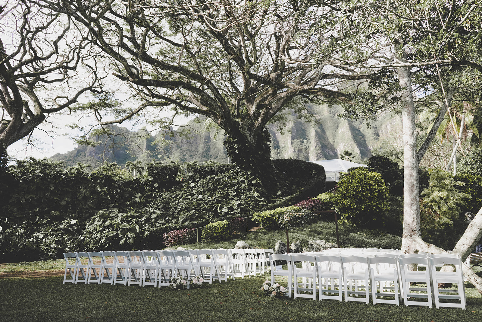 Moli'i Gardens Wedding Moli'i Gardens Wedding