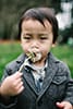 little boy blowing dandelion