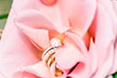 Wedding rings inside of a beautiful flower