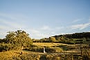 Minimalist September Wedding At Primrose Hill Farm by Chloe Ely Photography