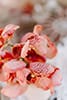 agafay desert elopement in marrakech morocco with grace loves lace dress by Chloe Ely Photography