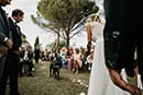 Dogs at wedding tuscany