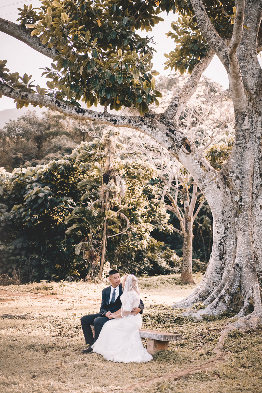 Bride and groom to be looking in each other’s eyes hoomaluhia botanical garden