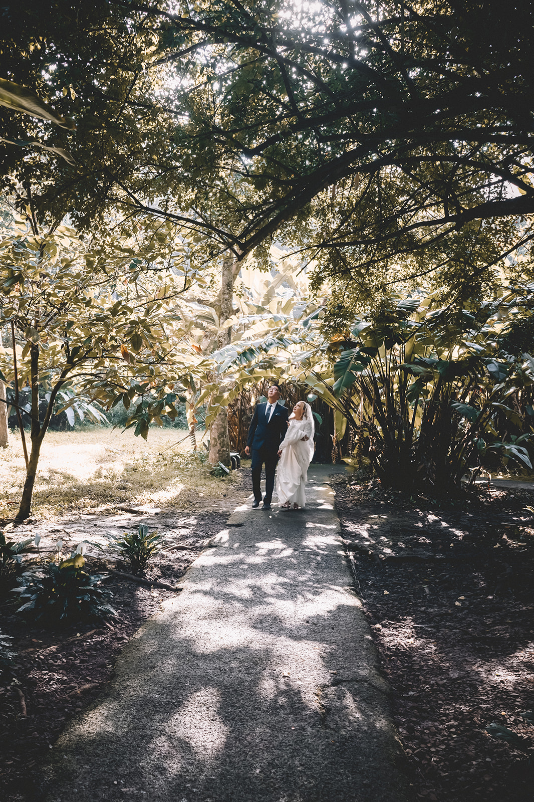 Couple walking in hoomaluhia botanical garden