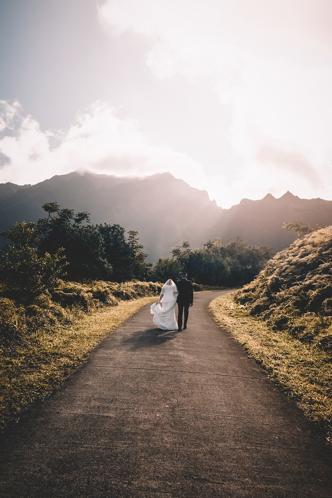 Couple walking into distance hoomaluhia botanical garden