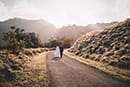 landscape photo couple wearing wedding dress and tuxedo walking in hoomaluhia botanical garden